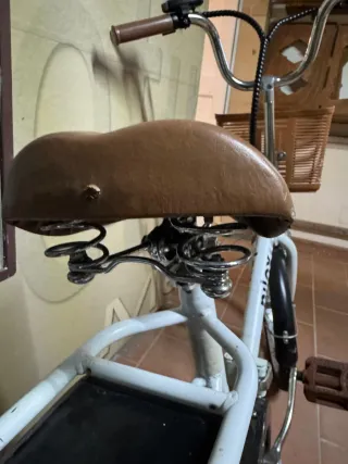 Bicicletta elettrica Nilo J1 Plus
