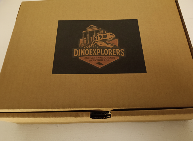 Kit Explorador Dinosaurios