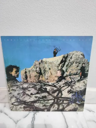 Vinilo Immaculate Fools - Dumb Poet