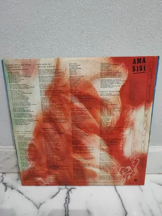 Vinilo Immaculate Fools - Dumb Poet