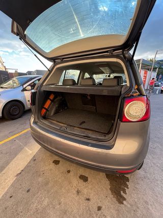 Volkswagen Golf Plus 2.0 2007