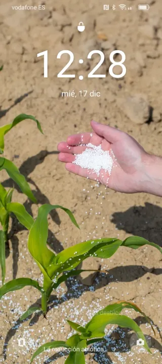 Fertilizante Nitrato Cálcico