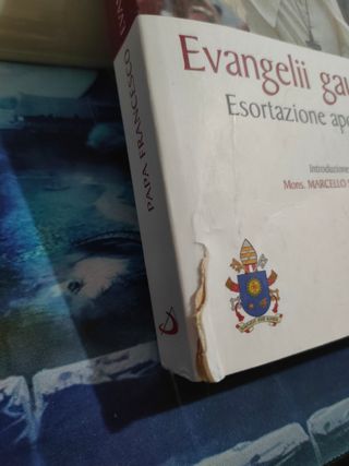 Evangelii gaudium. Esortazione apostolica