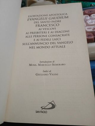 Evangelii gaudium. Esortazione apostolica