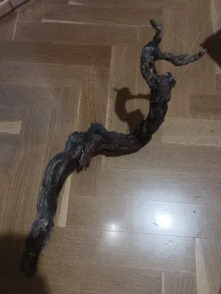 Rama cepa de vid decorativa