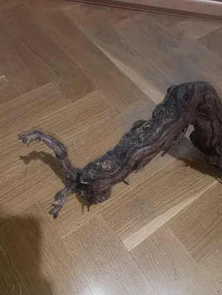 Rama cepa de vid decorativa