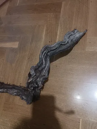 Rama cepa de vid decorativa