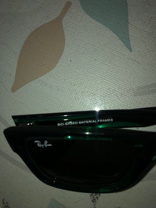 Gafas de sol Ray-Ban RB 4396 Warren