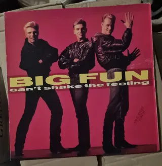 Vinilo Big Fun Can't Shake The Feeling