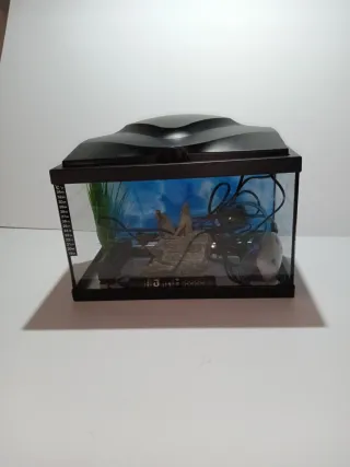 Acuario 20L con accesorios