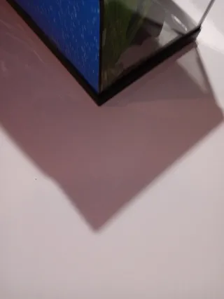 Acuario 20L con accesorios