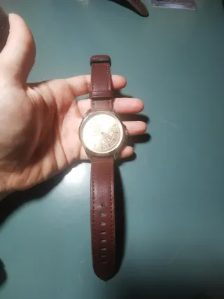 Relojes Skyline Marrón y Dorado