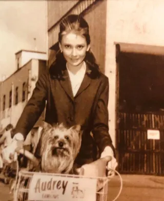 Bandolera Audrey Hepburn Perro