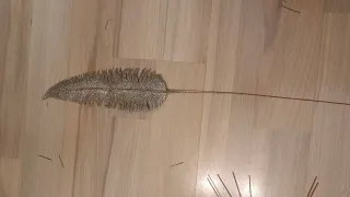 12 Plumas decorativas con purpurina color dorado