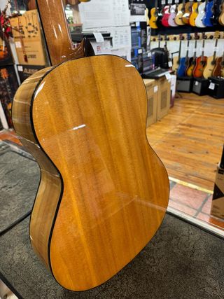 Guitarra Vicente Tatay Fishman Prefix Plus