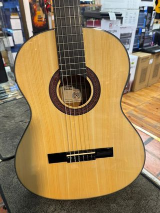 Guitarra Vicente Tatay Fishman Prefix Plus