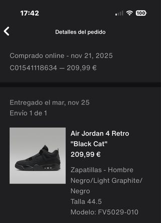 Jordan 4 Black Cat (2025)