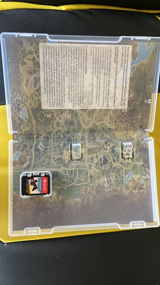 Windstorm Whisper Nintendo Switch Pal Fra