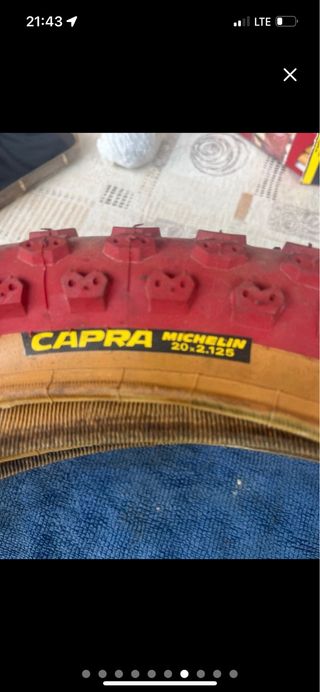 Neumáticos. Michelin cobra