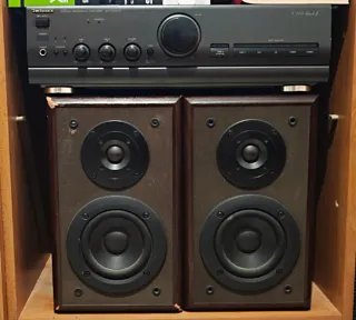 Altavoces y amplificador Technics 50wtt RMS