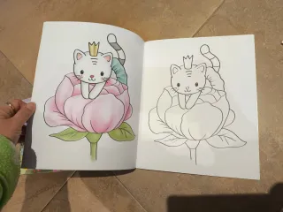 Lote 2 libros Princess Mimi pegatinas y colorear