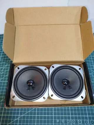 Pareja de altavoces negros