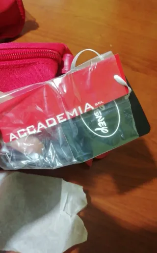 Borsa/ pochette Disney Regina Cattiva