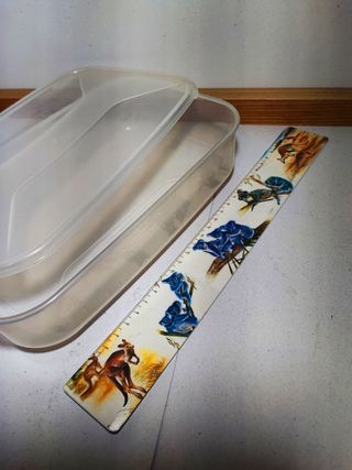 Contenitore Trasparente Rettangolare Basso 23x16x6