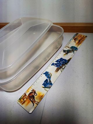 Contenitore Trasparente Rettangolare Basso 23x16x6