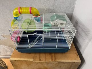 Jaula Hámster 2 Plantas + Accesorios