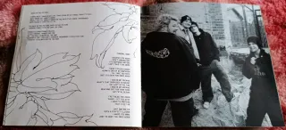 The Rasmus - Dead Letters CD