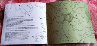 The Rasmus - Dead Letters CD