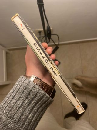 Shadow of the Colossus PS2 (PlayStation 2)