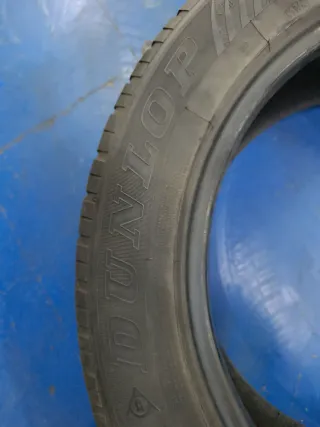 235/55R19 101V M+S Neumático Dunlop