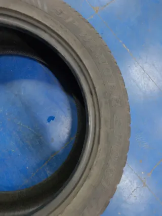 235/55R19 101V M+S Neumático Dunlop