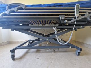 Cama geriátrica eléctrica con pinza