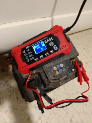 Cargador Batería Coche EAfc 6A