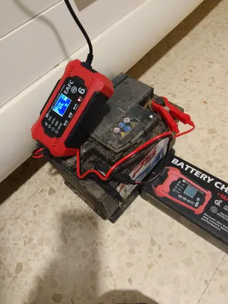 Cargador Batería Coche EAfc 6A