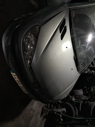 Capó Peugeot 206