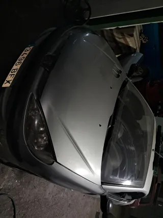 Capó Peugeot 206