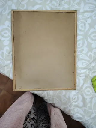 Cuadro Catedral Notre Dame París Antigua bueno