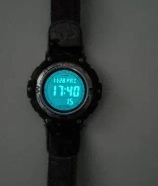 Reloj Casio SGW-100B