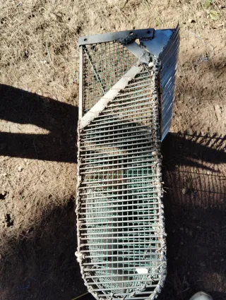 Tellinero de acero inoxidable