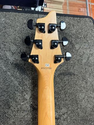 Washburn WV160FG2 V Class Ed. Limitada