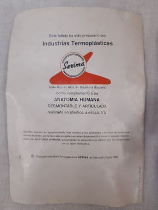 Muñeco Anatomía Humana Serima Antiguo