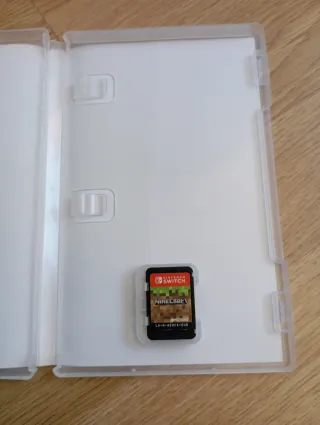 Minecraft Nintendo Switch