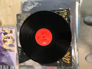 Vinilo Immaculate Fools - Another Man's World