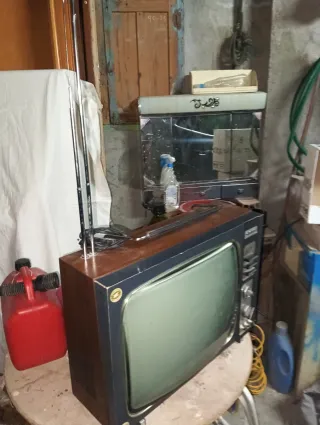 Televisor Retro Inter para Decoración