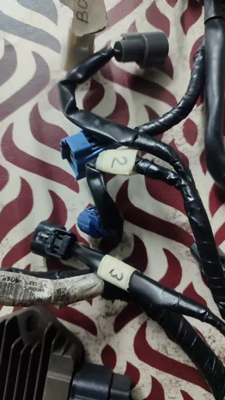 Instalación Eléctrica Honda NSF250 Moto3 Talent