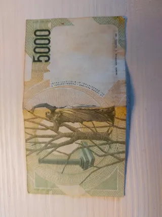 Banconota 5000 Lire Italia
